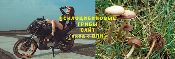 прущий лед Богородицк
