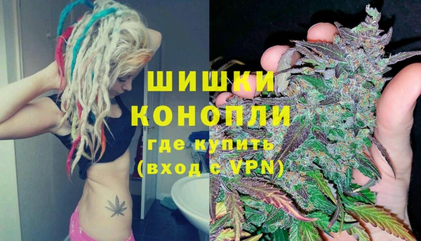 прущий лед Богородицк