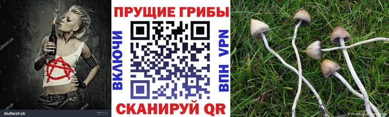 Галлюциногенные грибы мицелий  купить закладку  Мурманск 